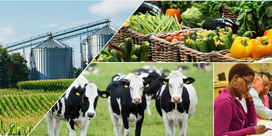 Agriculture & Agribusiness